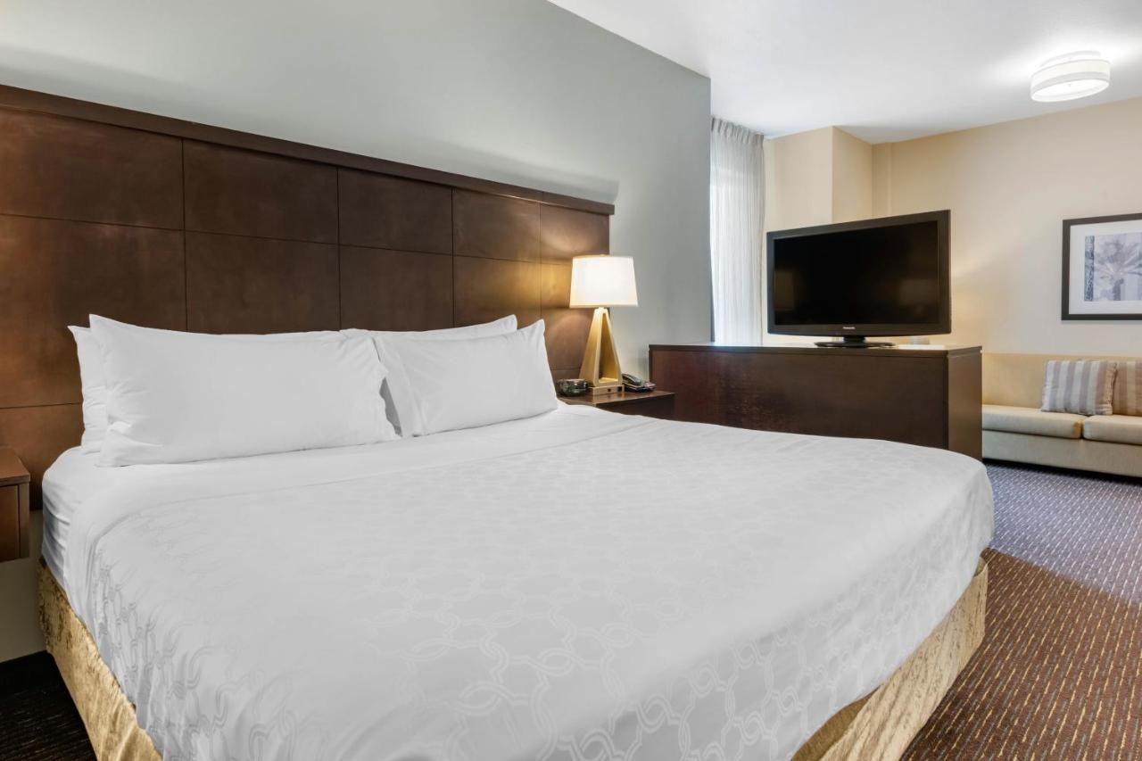 Staybridge Suites St. Petersburg Fl By Ihg Exterior photo